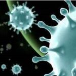 Novel coronavirus pneumonia's "Four Early" Technical Scheme
